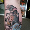 diseased rat