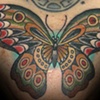 butterfly