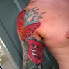 koi 4