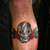 shin skull