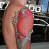 koi 1