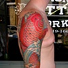koi 2