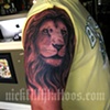 Lion Portrait
