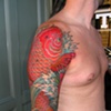 koi 3