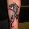 Panther