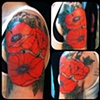 Poppies