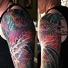 Dragon Koi