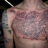Nats Chest Eagle