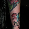 rooster 