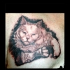 Cat Portrait