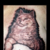 Cat Portrait