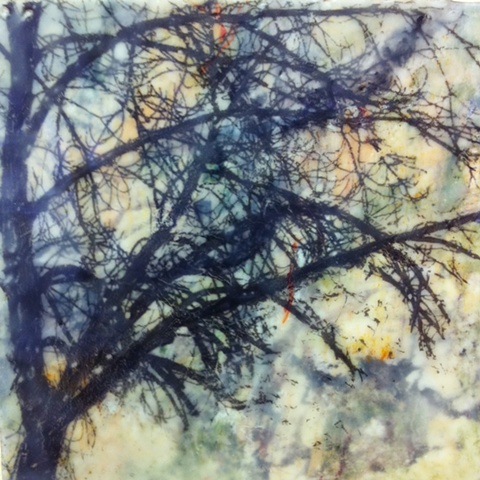 mixed media encaustic painting of tree by Brandy Eiger