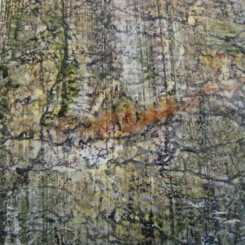 Forest Trail