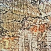 Inner Landscapes