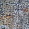 Topography of Dreams