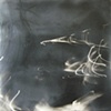 Moving Towards Clarity