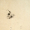 Mineral Formation Study