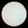 Untitled (Circle)