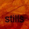 stills