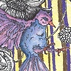 Purple Bird