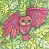 Red Owl 