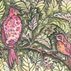 Red Birds