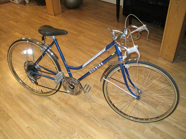 schwinn collegiate sport 10