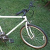 Trek-800-mountain bike