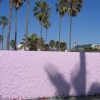 Venice Beach -08-