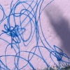 Venice Beach -08-