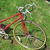 Schwinn-Sprint-10 speed