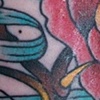26
