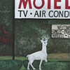 The White Deer