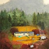 Paintings