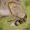 untitled (dog)
