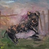 untitled (sow)