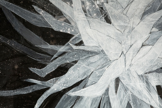 MorningStar (detail)