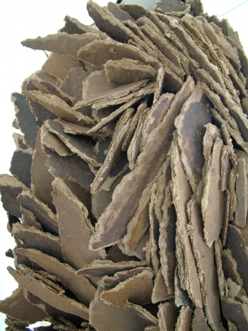 Beast (detail)