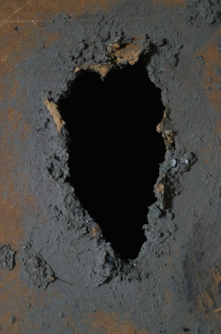Beast (detail)