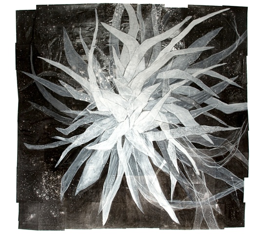 MorningStar