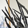 Black Vessel 