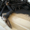 Ezekiel's Bones (detail) 