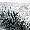 Mazzarothia