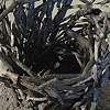 Black Vessel 