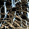 Burden/Offering: progression 4.