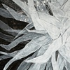 MorningStar (detail)