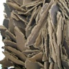 Beast (detail)