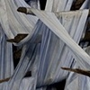 detail (progression 8)