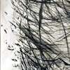 Breath