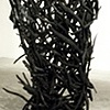 Whirlwind